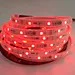 RGBW LED Strip